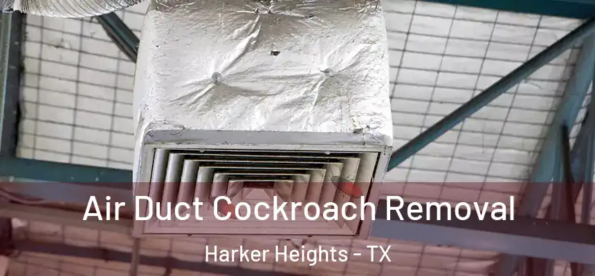  Air Duct Cockroach Removal Harker Heights - TX