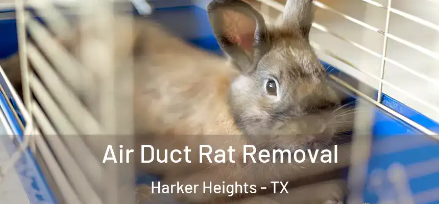  Air Duct Rat Removal Harker Heights - TX