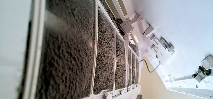 Preventive Air Duct Bacteria Removal in Harker Heights