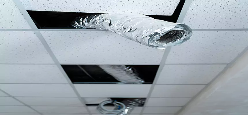 Affordable HVAC Sanitizing After Pest Removal in Harker Heights