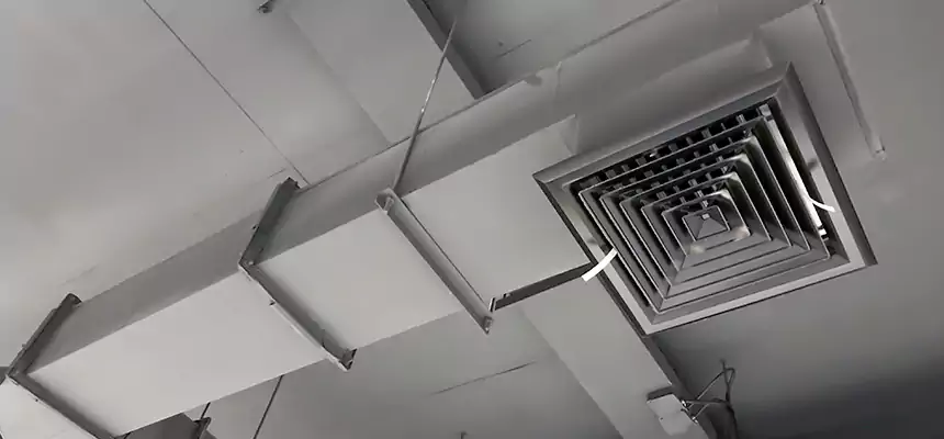 Our Rodent Droppings In Vents Services in Harker Heights, TX