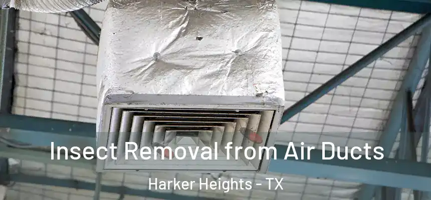  Insect Removal from Air Ducts Harker Heights - TX