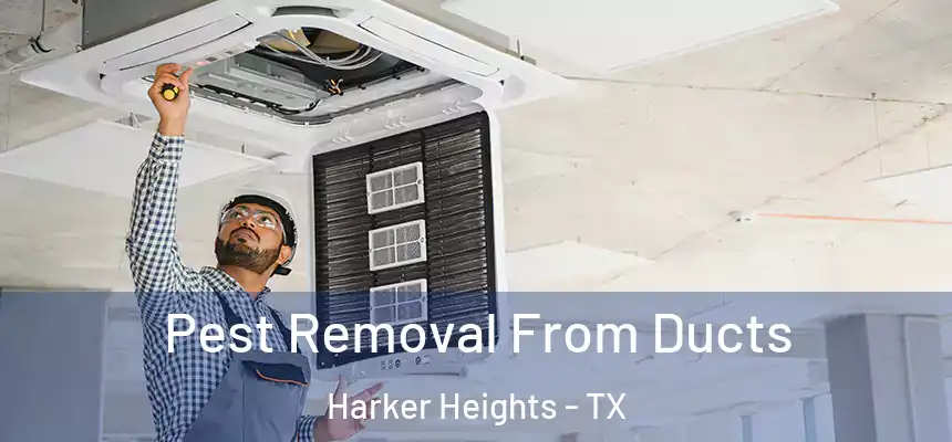  Pest Removal From Ducts Harker Heights - TX