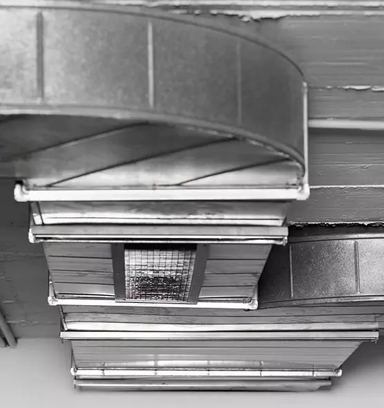 Professional Air Duct Pet Hair Removal in Harker Heights, TX