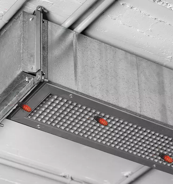 Affordable Insect Removal from Air Ducts in Harker Heights, TX