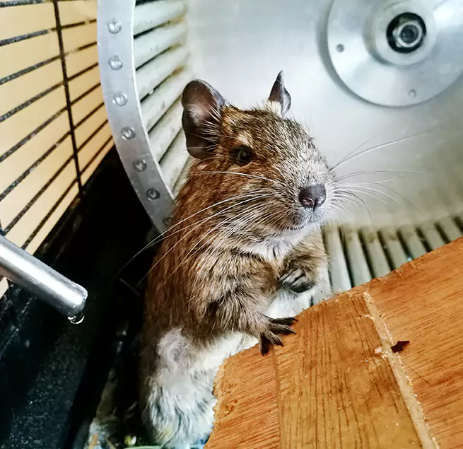 Why Homeowners & Businesses Trust Us Harker Heights, TX