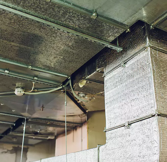 Why Homeowners & Businesses Trust Us in Harker Heights, TX?